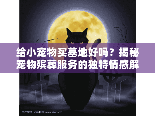 给小宠物买墓地好吗？揭秘宠物殡葬服务的独特情感解方