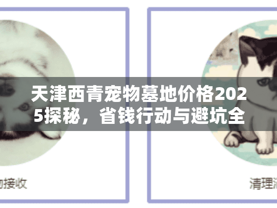 天津西青宠物墓地价格2025探秘，省钱行动与避坑全攻略