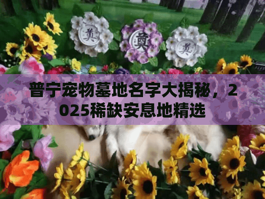 普宁宠物墓地名字大揭秘,2025稀缺安息地精选 普宁宠物墓地名字大揭秘,2025稀缺安息地精选