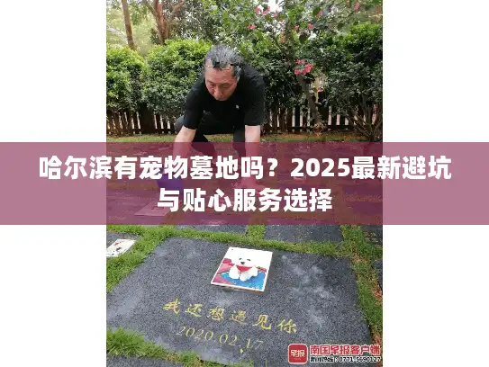 哈尔滨有宠物墓地吗？2025最新避坑与贴心服务选择
