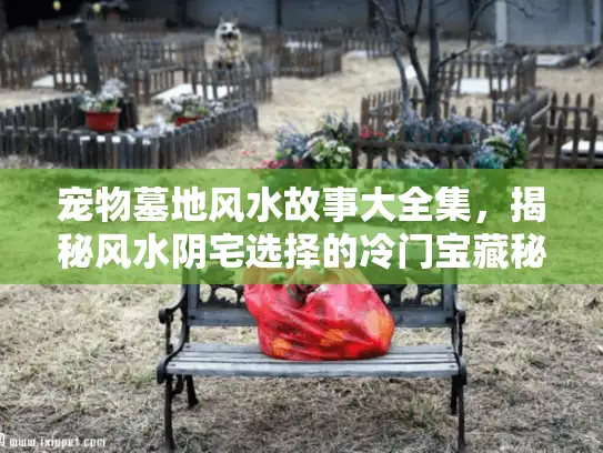宠物墓地风水故事大全集，揭秘风水阴宅选择的冷门宝藏秘诀