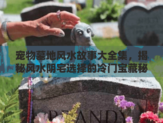 宠物墓地风水故事大全集，揭秘风水阴宅选择的冷门宝藏秘诀