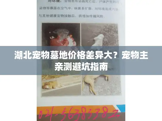 湖北宠物墓地价格差异大？宠物主亲测避坑指南