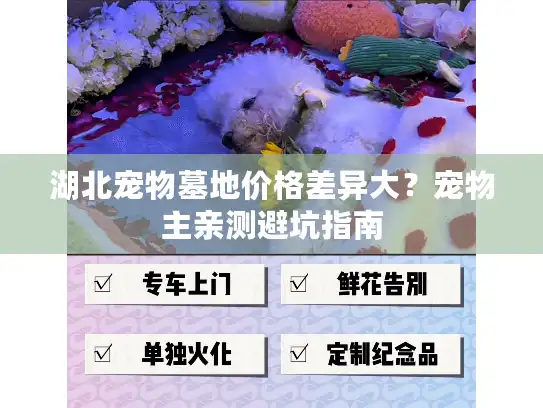 湖北宠物墓地价格差异大？宠物主亲测避坑指南