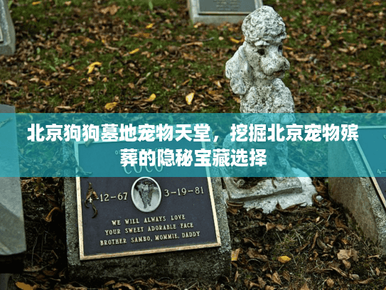 北京狗狗墓地宠物天堂，挖掘北京宠物殡葬的隐秘宝藏选择