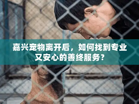 嘉兴宠物离开后，如何找到专业又安心的善终服务？