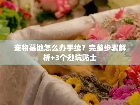 宠物墓地怎么办手续？完整步骤解析+3个避坑贴士