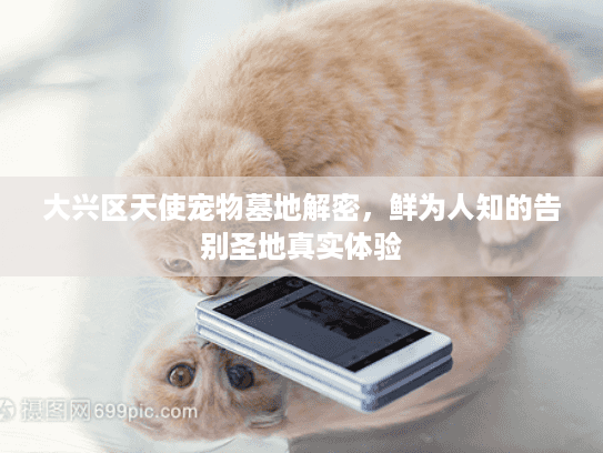 大兴区天使宠物墓地解密，鲜为人知的告别圣地真实体验