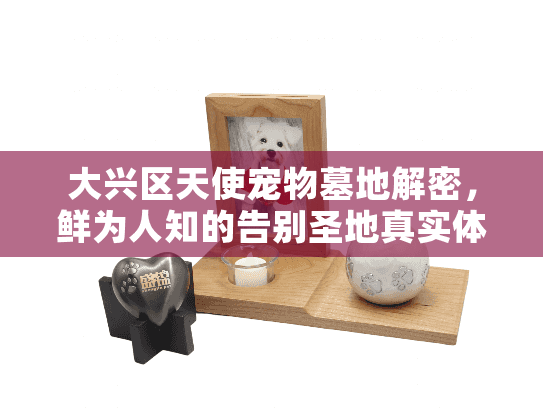 大兴区天使宠物墓地解密，鲜为人知的告别圣地真实体验