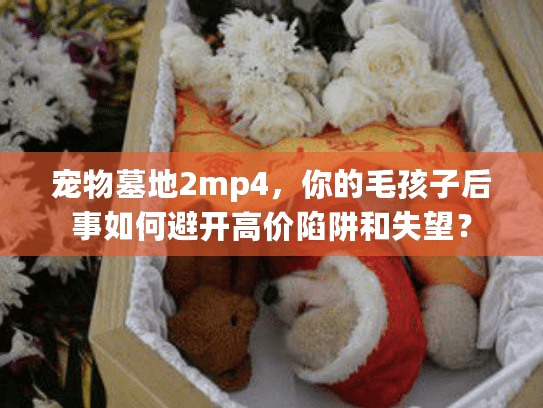 宠物墓地2mp4，你的毛孩子后事如何避开高价陷阱和失望？