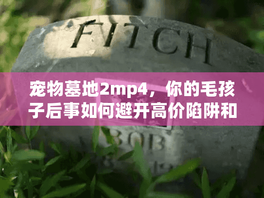 宠物墓地2mp4，你的毛孩子后事如何避开高价陷阱和失望？