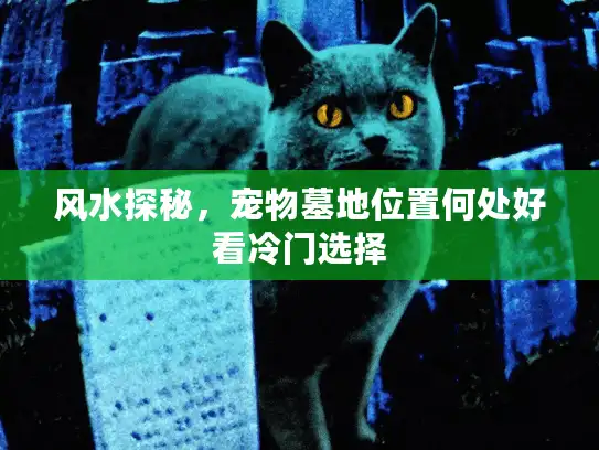 风水探秘，宠物墓地位置何处好看冷门选择
