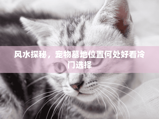 风水探秘，宠物墓地位置何处好看冷门选择