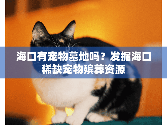 海口有宠物墓地吗?发掘海口稀缺宠物殡葬资源 海口有宠物墓地吗?发掘海口稀缺宠物殡葬资源