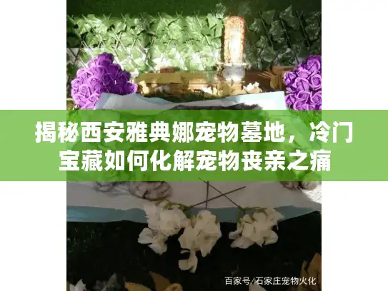 揭秘西安雅典娜宠物墓地,冷门宝藏如何化解宠物丧亲之痛 揭秘西安雅典娜宠物墓地,冷门宝藏如何化解宠物丧亲之痛
