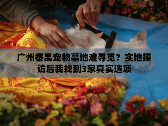 广州番禺宠物墓地难寻觅？实地探访后我找到3家真实选项