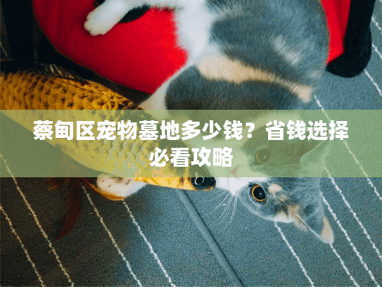 蔡甸区宠物墓地多少钱？省钱选择必看攻略