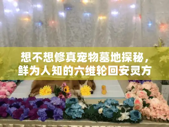 想不想修真宠物墓地探秘,鲜为人知的六维轮回安灵方案 想不想修真宠物墓地探秘,鲜为人知的六维轮回安灵方案