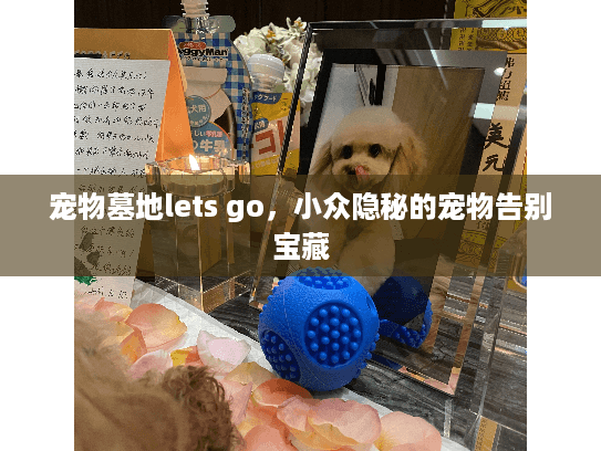 宠物墓地lets go，小众隐秘的宠物告别宝藏
