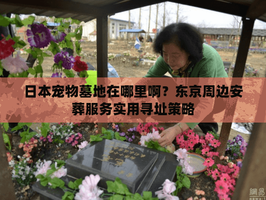 日本宠物墓地在哪里啊？东京周边安葬服务实用寻址策略