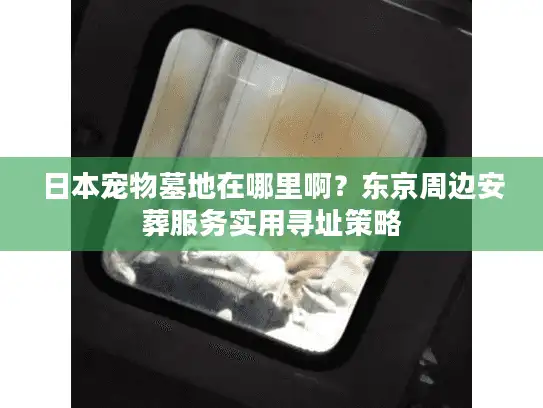 日本宠物墓地在哪里啊？东京周边安葬服务实用寻址策略