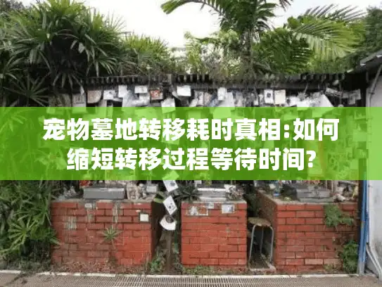 宠物墓地转移耗时真相:如何缩短转移过程等待时间?