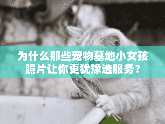 为什么那些宠物墓地小女孩照片让你更犹豫选服务？