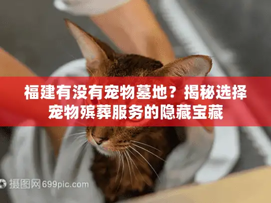 福建有没有宠物墓地？揭秘选择宠物殡葬服务的隐藏宝藏