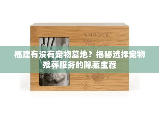 福建有没有宠物墓地？揭秘选择宠物殡葬服务的隐藏宝藏