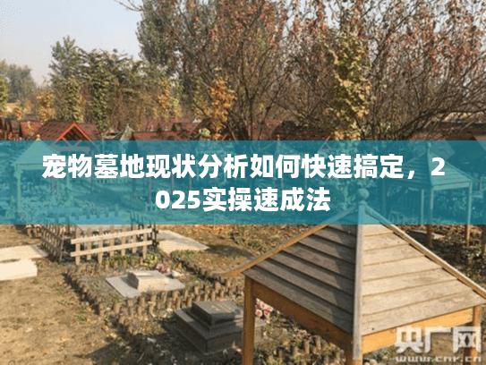 宠物墓地现状分析如何快速搞定，2025实操速成法