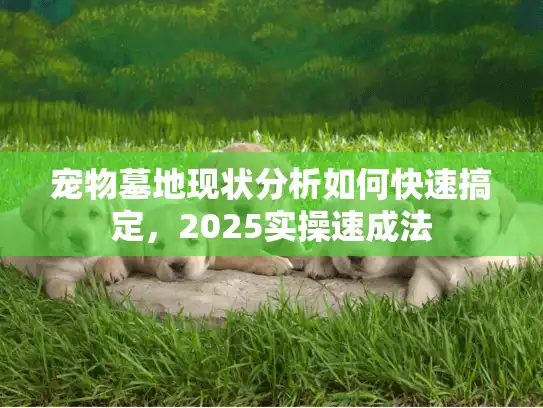 宠物墓地现状分析如何快速搞定，2025实操速成法