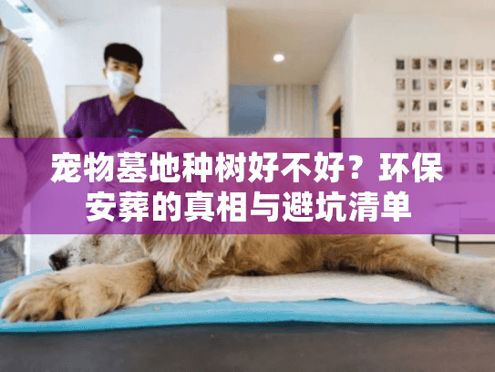 宠物墓地种树好不好?环保安葬的真相与避坑清单 宠物墓地种树好不好?环保安葬的真相与避坑清单