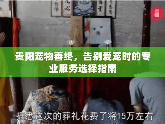 贵阳宠物善终，告别爱宠时的专业服务选择指南