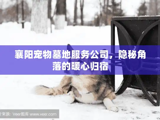 襄阳宠物墓地服务公司，隐秘角落的暖心归宿