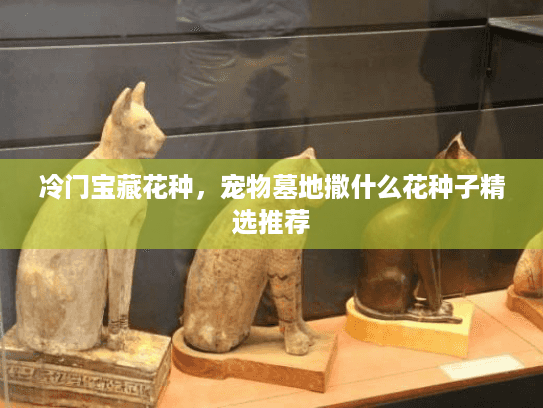 冷门宝藏花种,宠物墓地撒什么花种子精选推荐 冷门宝藏花种,宠物墓地撒什么花种子精选推荐