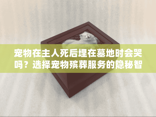 宠物在主人死后埋在墓地时会哭吗？选择宠物殡葬服务的隐秘智慧