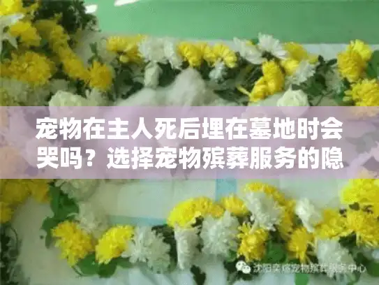 宠物在主人死后埋在墓地时会哭吗？选择宠物殡葬服务的隐秘智慧