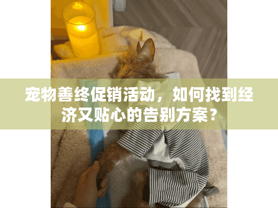 宠物善终促销活动，如何找到经济又贴心的告别方案？