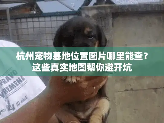 杭州宠物墓地位置图片哪里能查？这些真实地图帮你避开坑