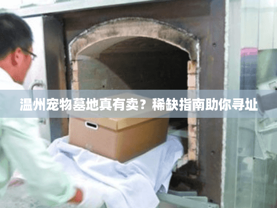 温州宠物墓地真有卖？稀缺指南助你寻址