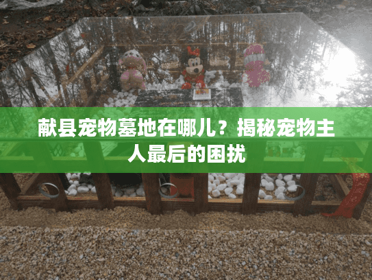 献县宠物墓地在哪儿？揭秘宠物主人最后的困扰
