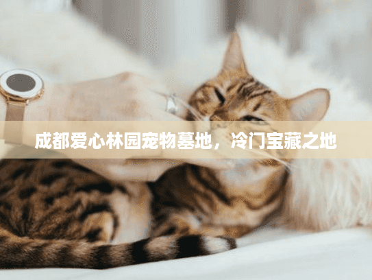 成都爱心林园宠物墓地，冷门宝藏之地