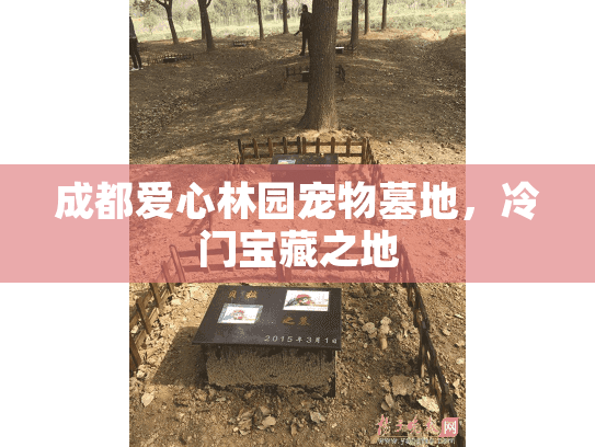 成都爱心林园宠物墓地，冷门宝藏之地