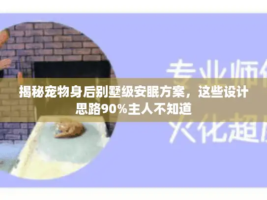 揭秘宠物身后别墅级安眠方案，这些设计思路90%主人不知道