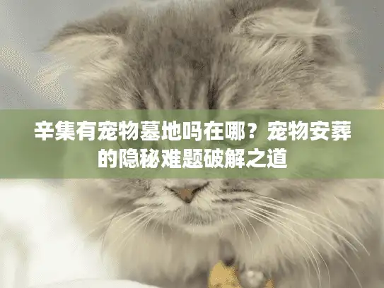 辛集有宠物墓地吗在哪？宠物安葬的隐秘难题破解之道