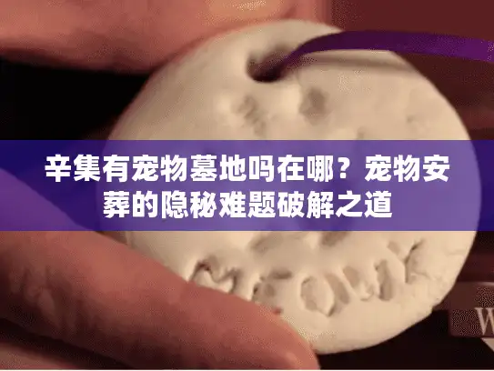 辛集有宠物墓地吗在哪？宠物安葬的隐秘难题破解之道