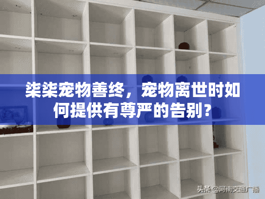 柒柒宠物善终,宠物离世时如何提供有尊严的告别? 柒柒宠物善终,宠物离世时如何提供有尊严的告别?