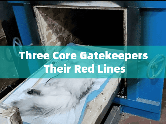 Three Core Gatekeepers Their Red Lines Three Core Gatekeepers Their Red Lines