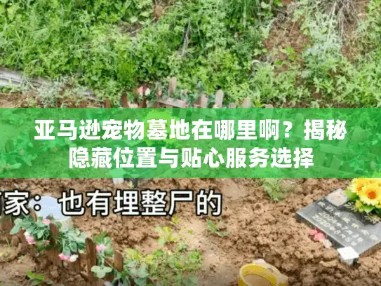 亚马逊宠物墓地在哪里啊？揭秘隐藏位置与贴心服务选择