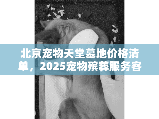 北京宠物天堂墓地价格清单，2025宠物殡葬服务客观推荐